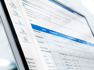 Panoramica della valutazione aziendale nel software di gestione