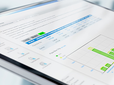 Informe mensual de ventas en el software de gestión